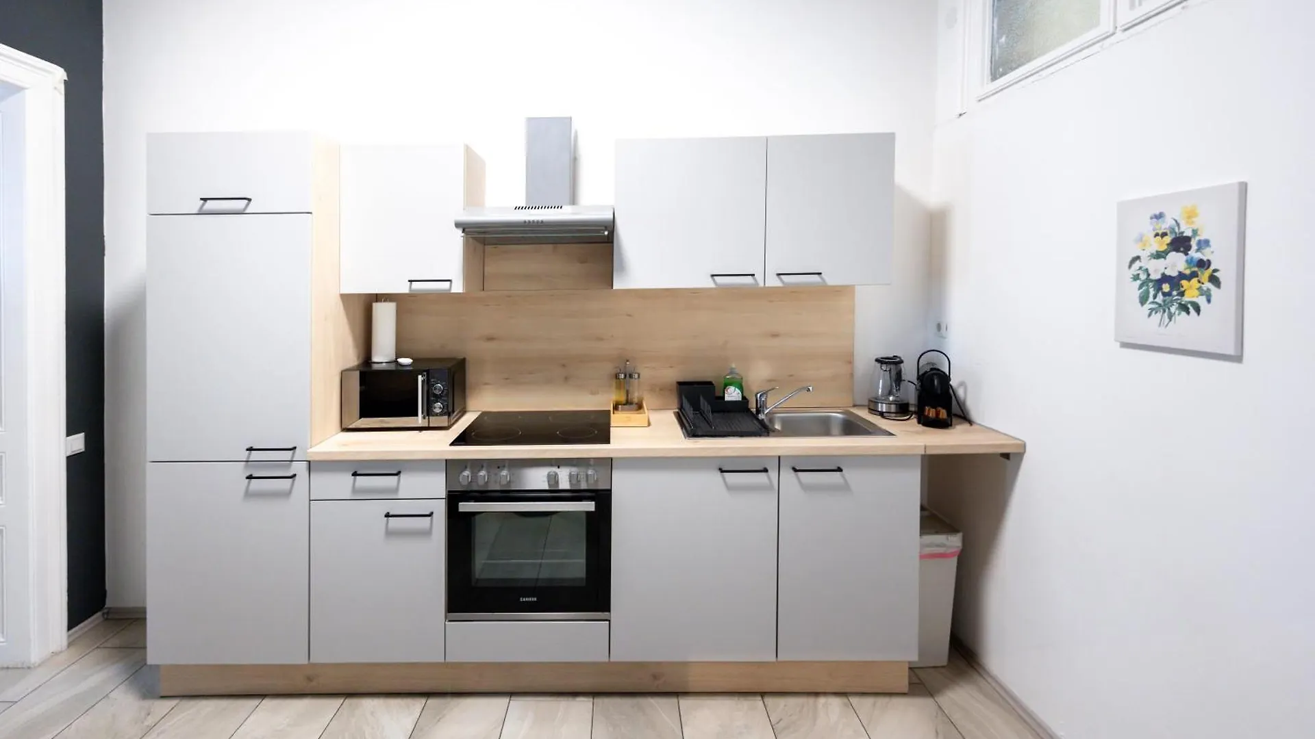 Comfortable Spacious Apartment By Hanovermarkt & The Danube Vienna